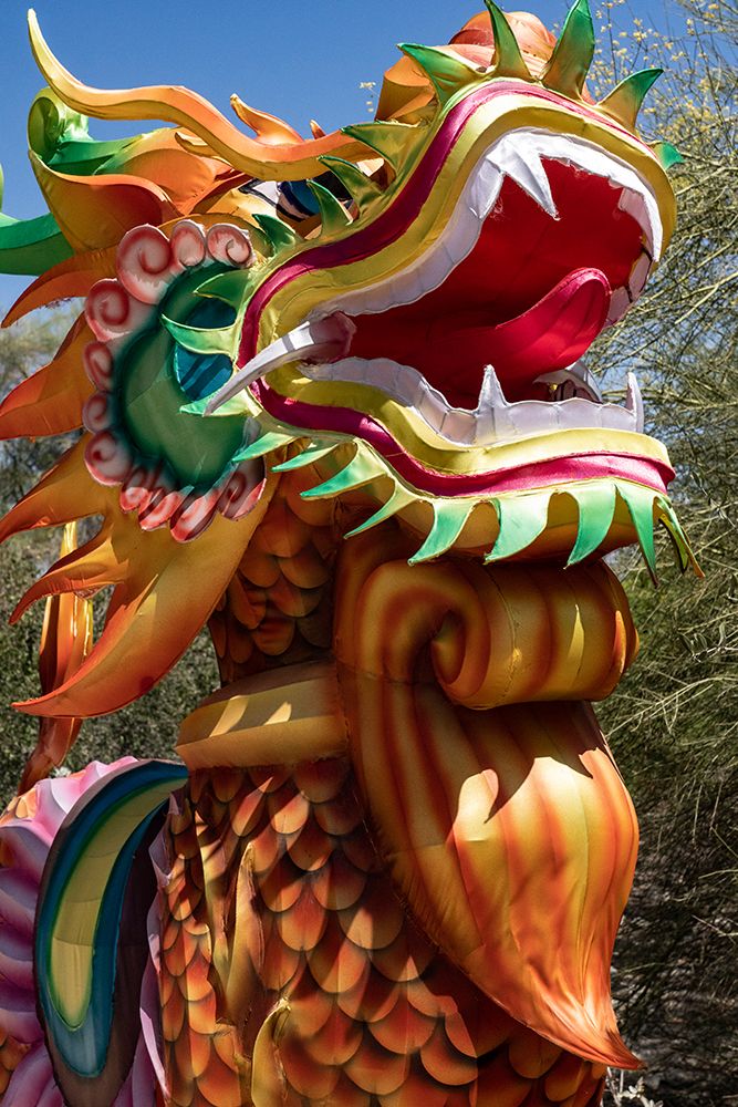 USA-California Decorations at the Living Desert Zoo and Gardens-Palm Desert